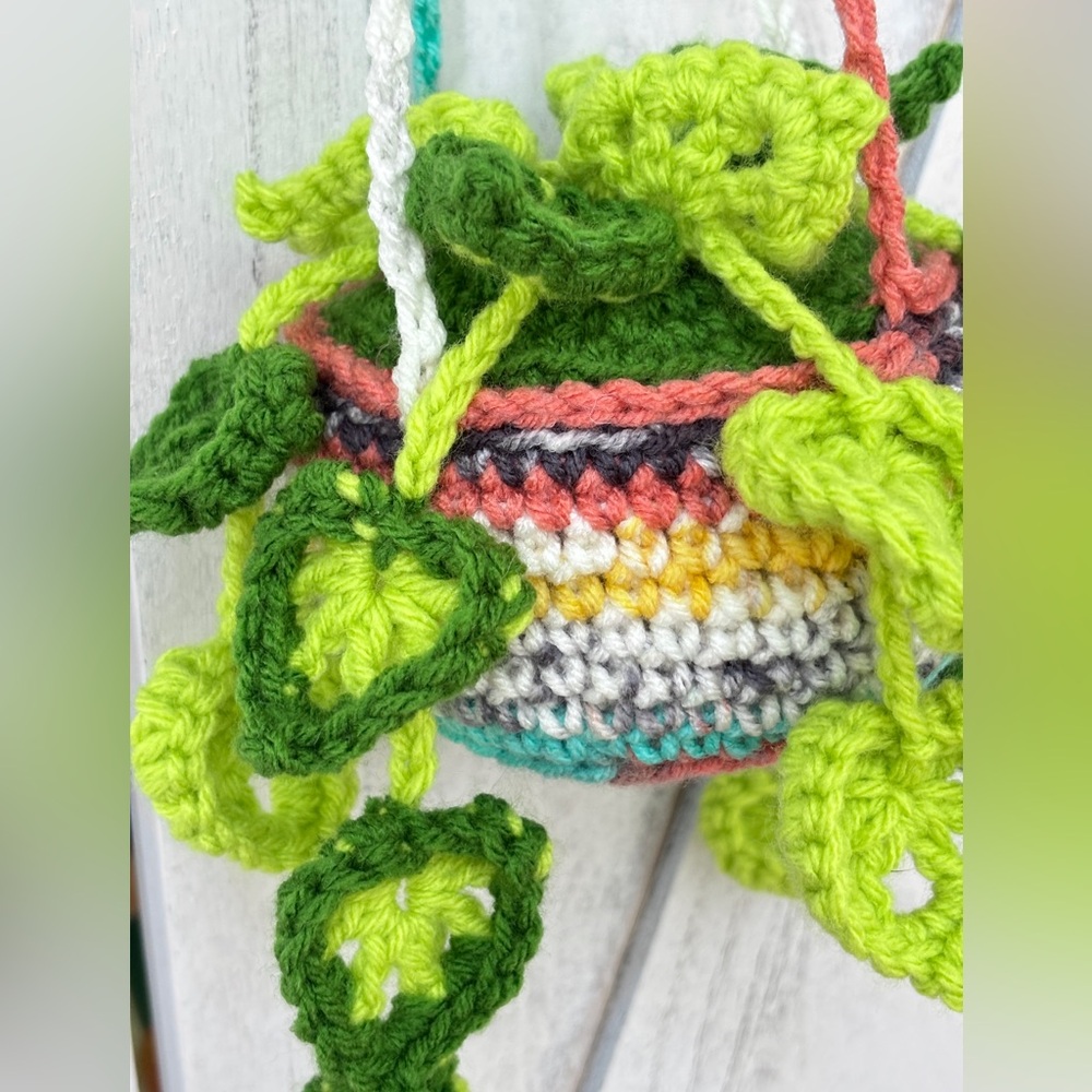 New Crochet Thai Constellation Monstera Hanging Plant Green Rainbow Planter